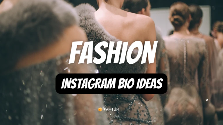 Instagram Bio Ideas for Fashion Bloggers